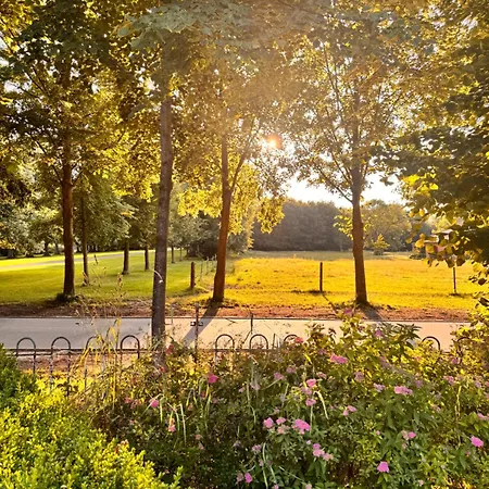 Wiesenmeer * クリュツ