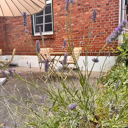 Wiesenmeer Venkovský dům