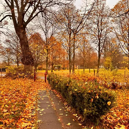 Wiesenmeer カントリーハウス